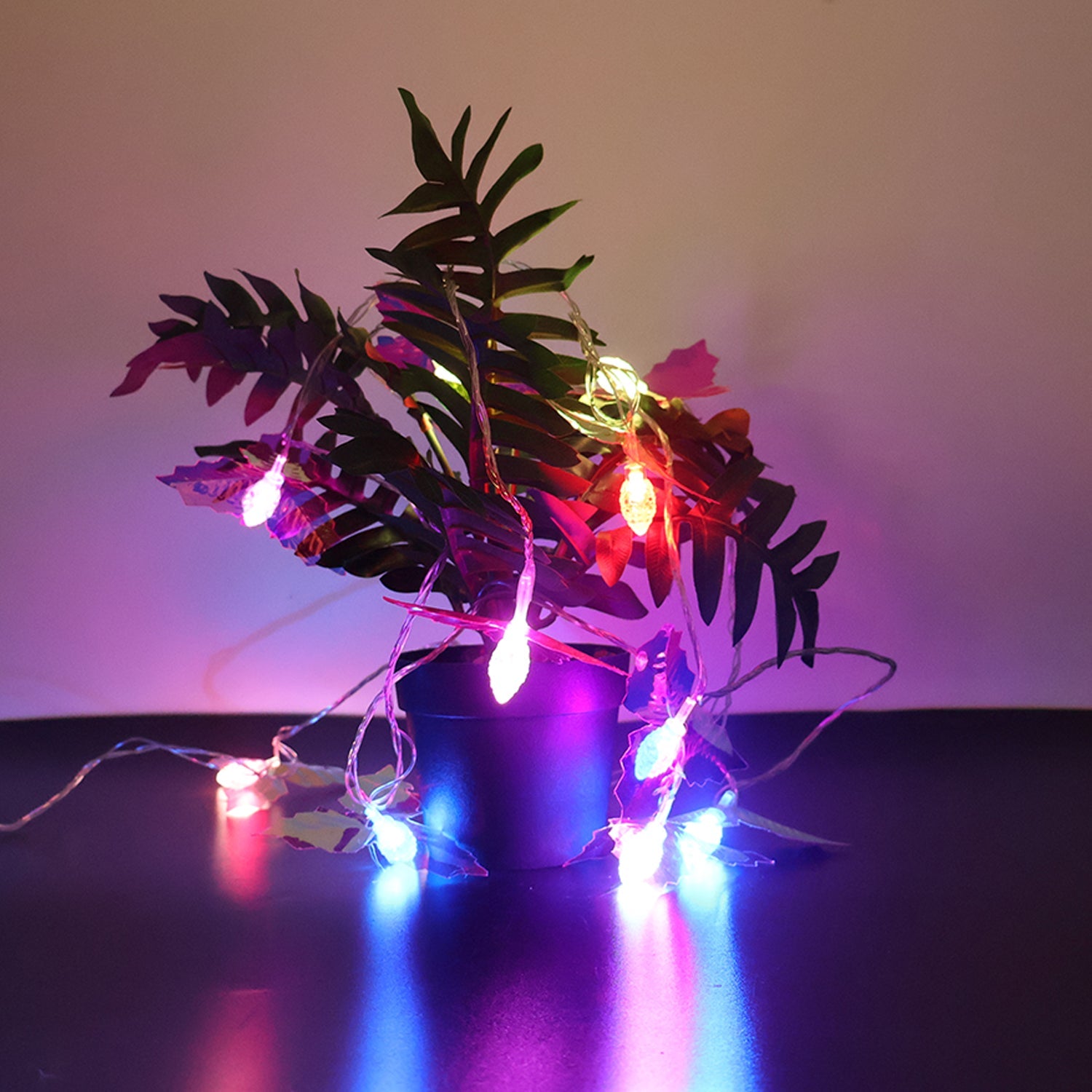 Decorative LED Leaf String Light (4mtr) Decorative LED Leaf String Light (4mtr)